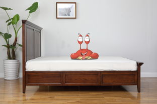 家居源家具產(chǎn)品商業(yè)圖片宣傳